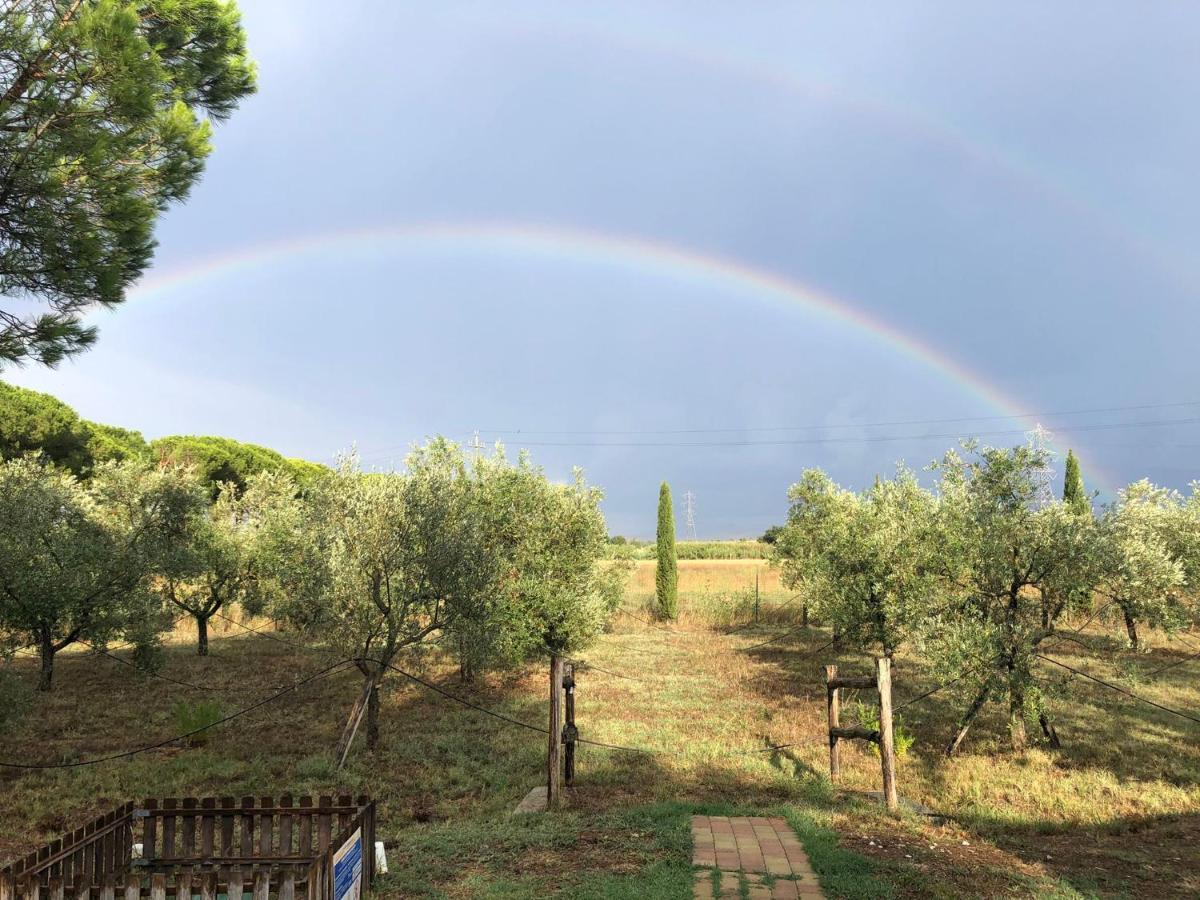 Il Podere Di Sole Roccastrada Exteriér fotografie